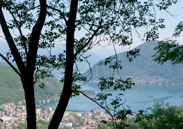artech for unesco monte san giorgio