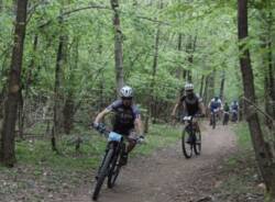 mtb besozzo