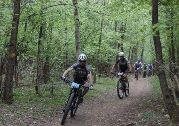 mtb besozzo